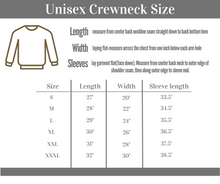 Load image into Gallery viewer, Here&#39;s to the nights we won&#39;t remember....- Unisex Crewneck
